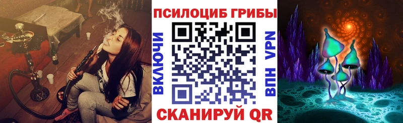 Псилоцибиновые грибы Psilocybe  Купить  Электрогорск 